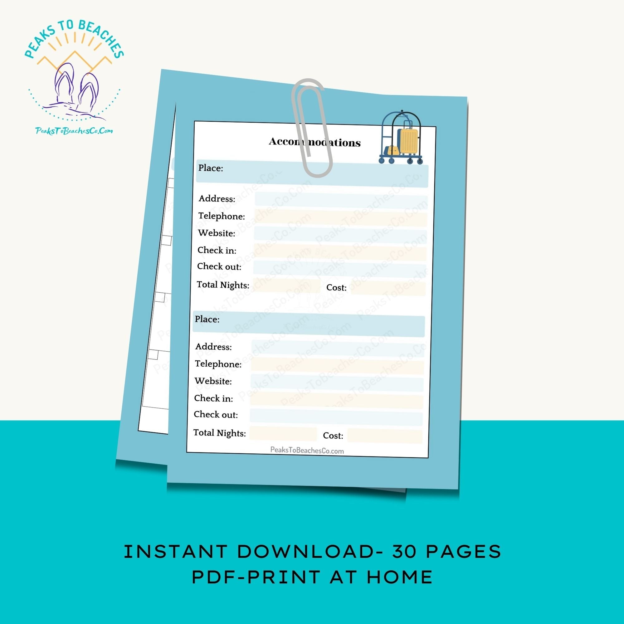 Summer Vacation Planner - PRINT AT HOME - Peaks to Beaches Co Planner